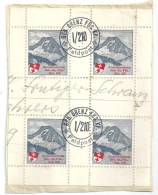 Kleinblock  "Grenzbesetzung Geb.Grenz.Füs.Bat.210"       Ca. 1940 - Vignettes