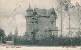 BELGIQUE - PECQ - Chalet Des Lilas - Pecq