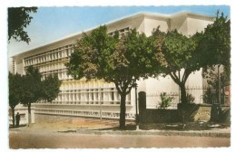 GUELMA - Ecole De Garçons Avenue De La Gare - Guelma