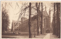 UK, Winchester Cathedral And Avenue, Unused Postcard [17178] - Winchester