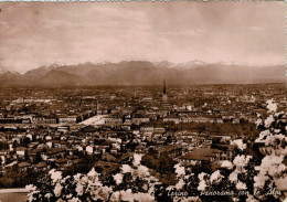 TORINO  PANORAMA  CON LE  ALPI       (VIAGGIATA) - Parken & Tuinen