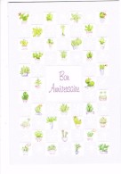 Double Carte BON ANNIVERSAIRE - Illustration Pot De Cactus - Fleurs - Cactusses