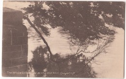 UK, The White Lilac Tree At The Old Mill, Guy's Cliff, 1919 Used Postcard [17221] - Warwick