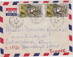 CAMEROUN LETTRE AVEC TIMBRES AUTRUCHE - Avestruces