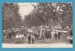 CPA LABOUCHE 285 - Le Champ De Foire Marché Aux Bestiaux FLEURANCE 32 - Fleurance