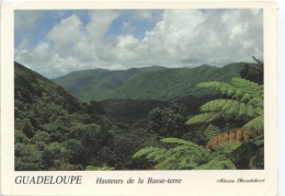 Guadeloupe - Hauteurs De La Basse Terre (Alexis Boisdebout) Hauteurs De L´arrière Pays - Basse Terre