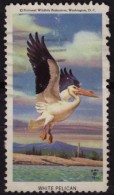 PELICAN /  National Wildlife Federation NWF - 1970 USA - LABEL / CINDERELLA / VIGNETTE - Used - Pelícanos