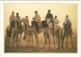 Niger - Tequidda N'Tessoumt. La "cure Salée" - Touareg - Dromadaires - Not Used - Niger