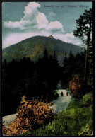 Blick Nach Der Lausche  - Zittauer Gebirge  -  Ansichtskarte Ca. 1914    (5788) - Stadtroda