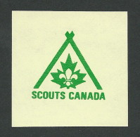 B34-30 CANADA Scouts Label MNH 1 - Viñetas Locales Y Privadas