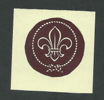 B34-35 CANADA Scouts Label MNH 6 - Vignettes Locales Et Privées