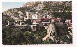 Delcampe - >> MONACO : Le Palais Du Prince - 1957 - Timbre Rainier III - - Fürstenpalast