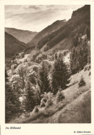 Höllental Schwarzwald - S/w Im Höllental - Höllental