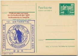 PENGUIN ANTARCTICA East German Postal Card P79-7b-78 Special Print C58-b 1978 - Expéditions Antarctiques
