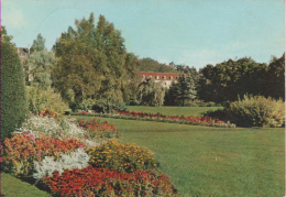 Horn Bad Meinberg - Kurpark Berggarten - Bad Meinberg