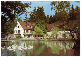 Horn Bad Meinberg Leopoldstal - Waldhotel Pension Silbermühle - Bad Meinberg