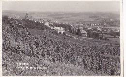 Remich - La Vallée De La Moselle (vignobles Sur Les Côteaux) Circulé Sans Date, Sous Enveloppe - Remich