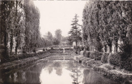 CARRIERES-sur-SEINE (78) - Vue Du Parc - Carrières-sur-Seine