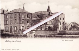 HABAY-la-NEUVE - Le Pensionnat - Carte Circulée 1905 - Habay