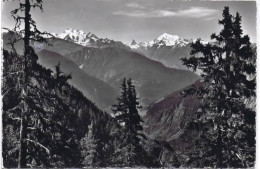 RIEDERALP  BLICK V CASSELWEG - Riederalp