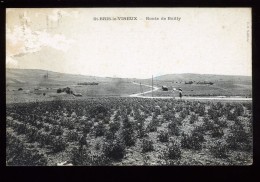 89  Yonne St Bris Le Vineux Route De Bailly Leblanc 1922 Manques Sur Le Cliché - Saint Bris Le Vineux