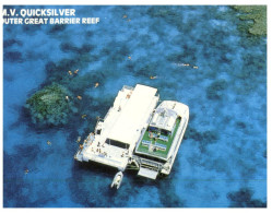 (244) Australia - QLD - Great Barrier Reef And M.V Quicksilver - Great Barrier Reef