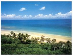 (244) Australia - QLD - Cape Tribulation Beach - Far North Queensland