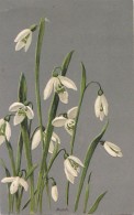 Alfred Mailick - Snowdrops Embossed Prage 1906 - Mailick, Alfred