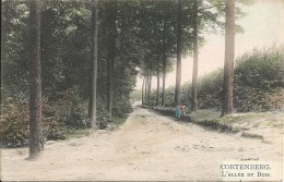 CORTENBERG - KORTENBERG : L'Allée Du Bois - RARE COLORISEE - Cachet De La Poste 1920 - Kortenberg