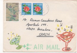 3010 Carta  Japon 1993, Japan  Nagano, Hanishina  , Sakaki - Airmail