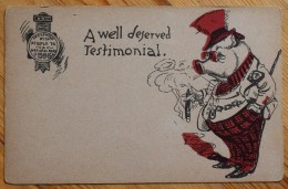 A Well Deserved Testimonial - Presented By The People To A Natural Born Hog - Porc - Cochon - Humour - Dessin - (n°6045) - Animaux Habillés