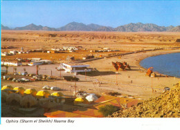 Sharm El Sheikh. Ophira. Naama Bay. - Sharm El Sheikh