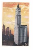 CPA E.U- NEW YORK - WOOLWORTH BUILDING - Autres Monuments, édifices