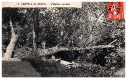 THEME - ARBRE - CRETEIL SAINT MAUR - L'arbre Penché - Árboles