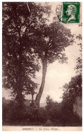 THEME - ARBRE - Domont - La Croix Martin - Arbres