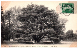 THEME - ARBRE - Montmorency - Le Chêne Du Jardin Public - Trees