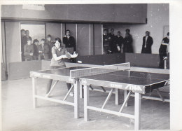 Table Tennis Ping Pong Real Photo - Table Tennis