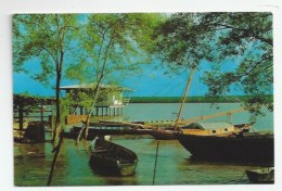 Delcampe - GUYANE FRANÇAISE -  ILE DE CAYENNE - DÉGRAD DES CANNES - Sonstige & Ohne Zuordnung