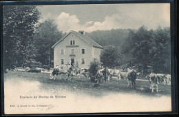 Susse -- Souvenir De Grottes De Reclere - Réclère