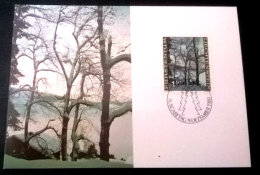 FDC LIECHTENSTEIN 5 - Enteros Postales