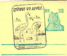 BIRDS-GREATER FLAMINGOS-PICTORIAL POSTMARK ON POST CARD-INDIA-1999-MNH-SCARCE-BX1-354 - Flamingos