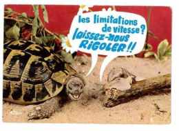 CPSM ANIMAUX HUMORISTIQUES TORTUE ET ESCARGOT - Schildkröten