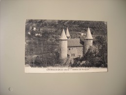 GARD CHAMBORIGAUD CHATEAU DE MONTJOYE - Chamborigaud