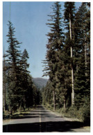 (686) USA - Naches Pass And Yosemite NP (2 Postcards) - Yosemite