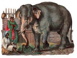 IMAGE Grand Découpi ELEPHANT ALBINOS Et Son CORNAC Format 15.5 Cm - Animali
