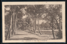 Guinee --  Conakry - - Une Allee A Camayenne - French Guinea