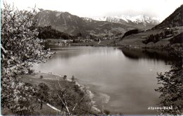 Immenstadt Bühl Am Alpsee - S/w Der Grosse Alpsee - Immenstadt