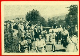 Fiertel Te Ronse / Renaix: 5. Op De Brug Van Schoonboeke - Renaix - Ronse