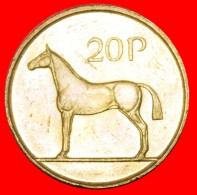 § HORSE: IRELAND ★ 20 PENCE 1988! LOW START★ NO RESERVE! - Irlande