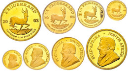 2002, Krügerrand Prestige Set, 100, 50, 20 Und 10 Rand Gold, 1 Oz, ½ Oz, ¼ Oz Und 1/10 Oz... - Afrique Du Sud